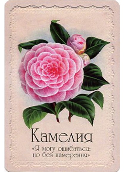 Оракул «Селам или Язык Цветов»